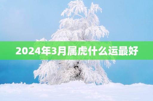 2025年3月属虎什么运最好