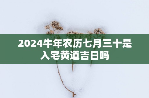 2025蛇年农历七月三十是入宅黄道吉日吗