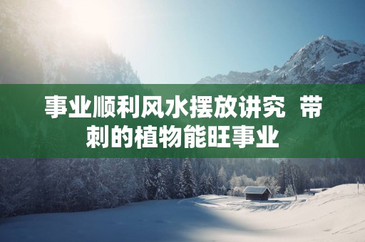 事业顺利风水摆放讲究  带刺的植物能旺事业