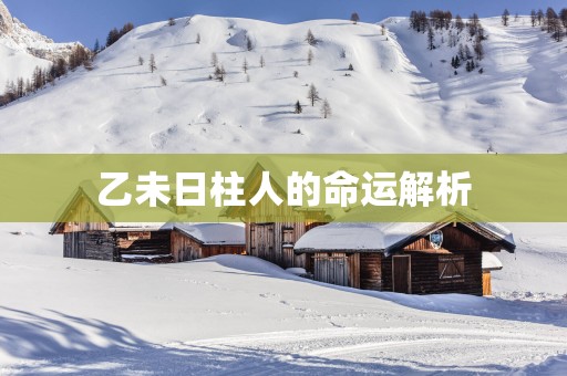 乙未日柱人的命运解析