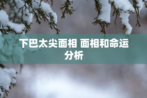 下巴太尖面相 面相和命运分析