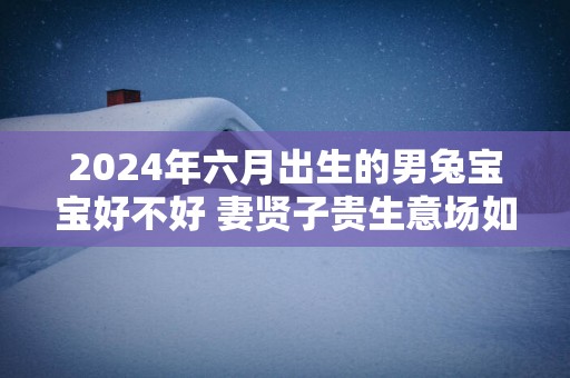 2025年六月出生的男兔宝宝好不好 妻贤子贵生意场如鱼得水