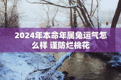 2025年本命年属兔运气怎么样 谨防烂桃花