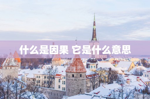 什么是因果 它是什么意思