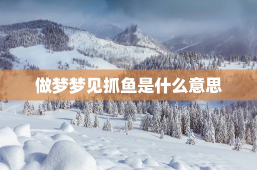 做梦梦见抓鱼是什么意思