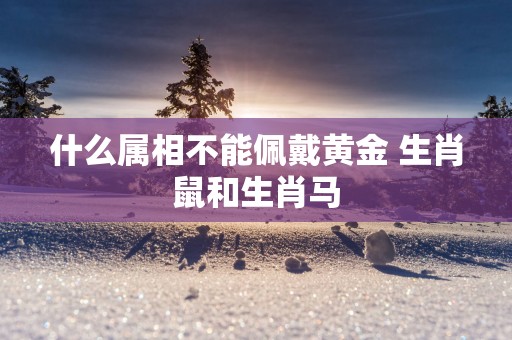 什么属相不能佩戴黄金 生肖鼠和生肖马