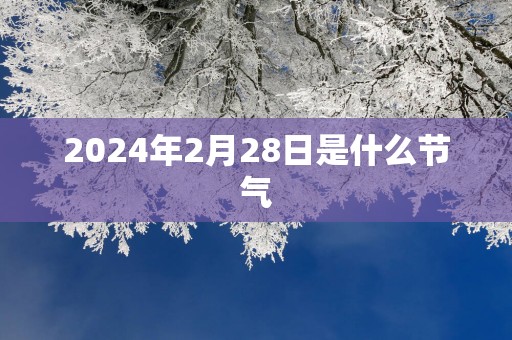 2025年2月28日是什么节气