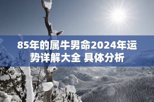 85年的属牛男命2025年运势详解大全 具体分析