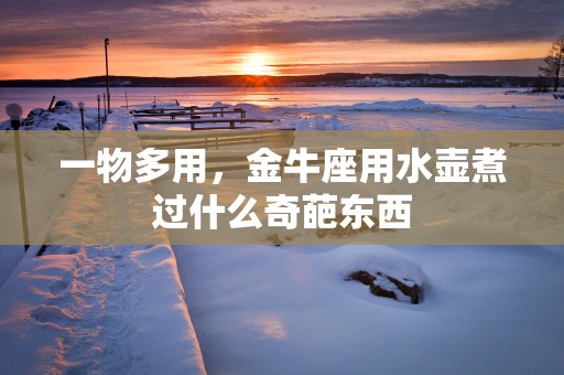一物多用，金牛座用水壶煮过什么奇葩东西