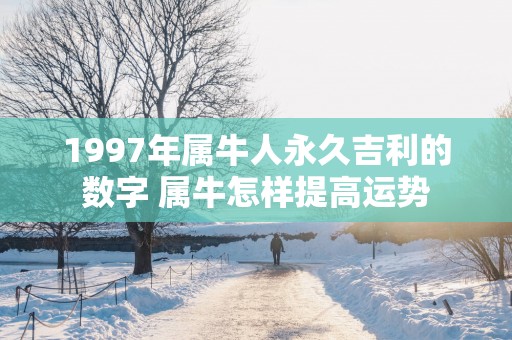 1997年属牛人永久吉利的数字 属牛怎样提高运势