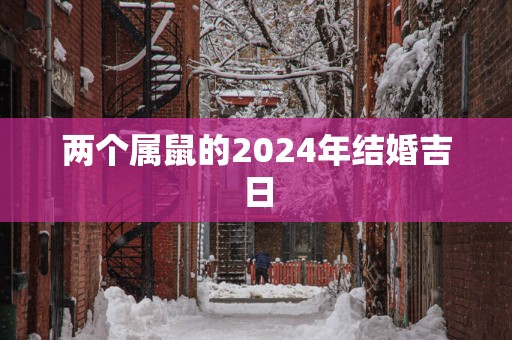 两个属鼠的2025年结婚吉日