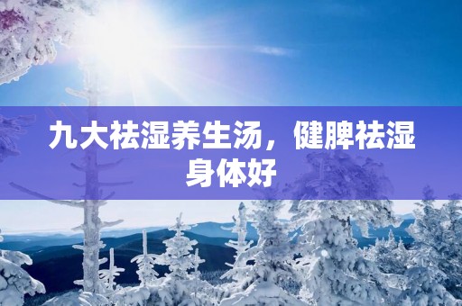 九大祛湿养生汤，健脾祛湿身体好