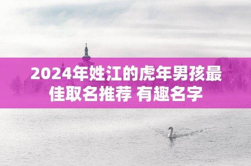 2025年姓江的蛇年男孩最佳取名推荐 有趣名字