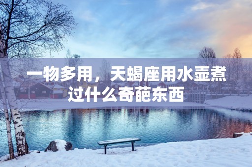一物多用，天蝎座用水壶煮过什么奇葩东西
