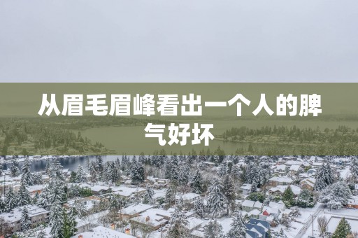 从眉毛眉峰看出一个人的脾气好坏