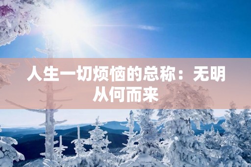 人生一切烦恼的总称：无明从何而来