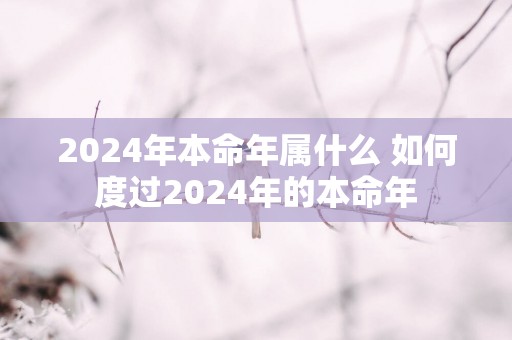 2025年本命年属什么 如何度过2025年的本命年