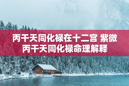 丙干天同化禄在十二宫 紫微丙干天同化禄命理解释