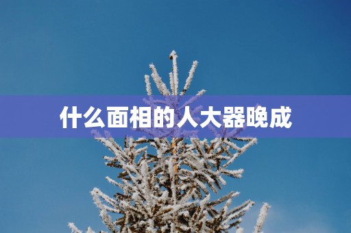 什么面相的人大器晚成