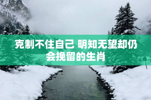 克制不住自己 明知无望却仍会挽留的生肖