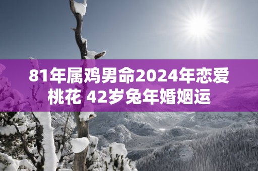 81年属鸡男命2025年恋爱桃花 42岁蛇年婚姻运