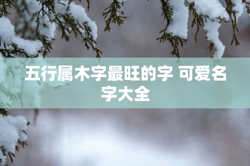 五行属木字最旺的字 可爱名字大全