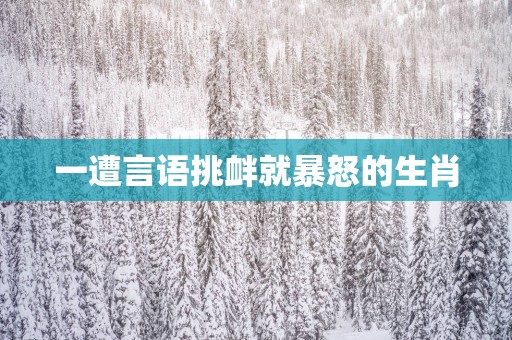一遭言语挑衅就暴怒的生肖