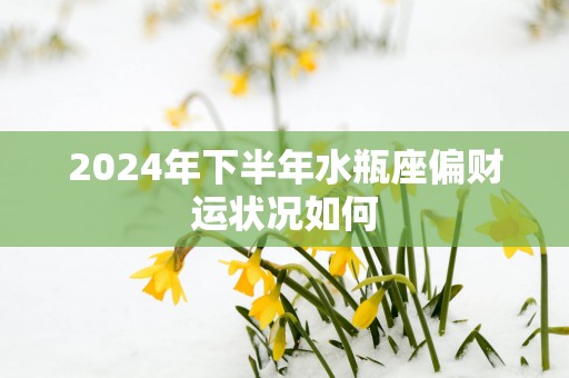 2025年下半年水瓶座偏财运状况如何