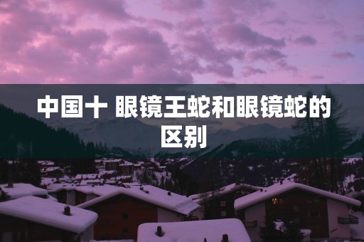 中国十 眼镜王蛇和眼镜蛇的区别