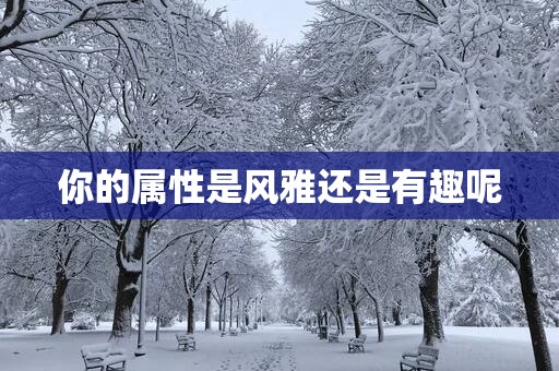 你的属性是风雅还是有趣呢