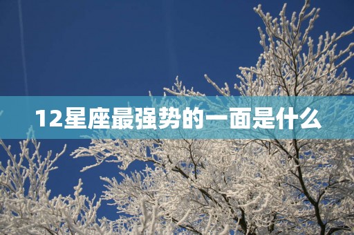 12星座最强势的一面是什么