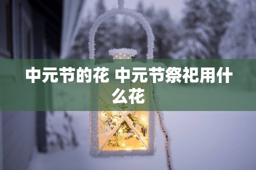 中元节的花 中元节祭祀用什么花