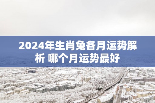 2025年生肖兔各月运势解析 哪个月运势最好