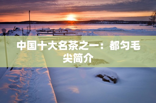 中国十大名茶之一：都匀毛尖简介