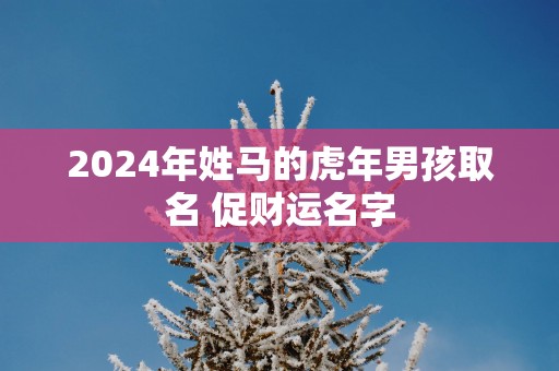 2025年姓马的蛇年男孩取名 促财运名字