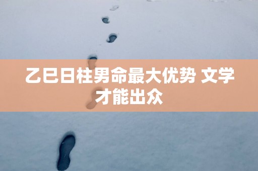 乙巳日柱男命最大优势 文学才能出众
