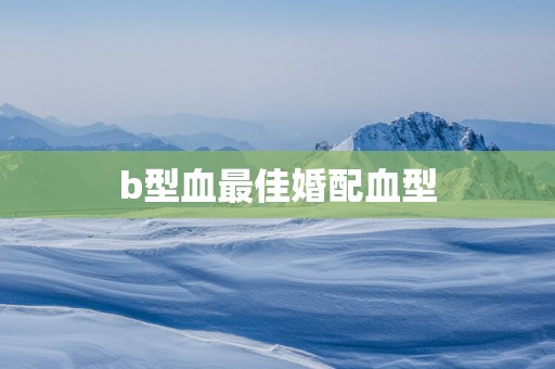 b型血最佳婚配血型