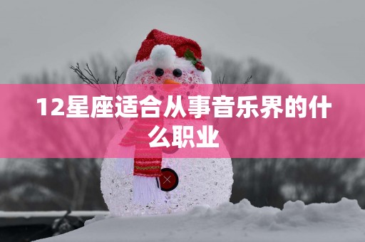 12星座适合从事音乐界的什么职业