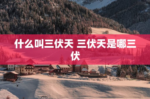 什么叫三伏天 三伏天是哪三伏