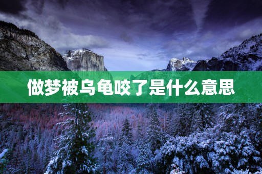 做梦被乌龟咬了是什么意思
