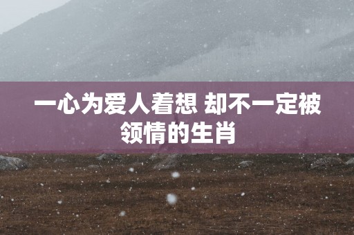 一心为爱人着想 却不一定被领情的生肖