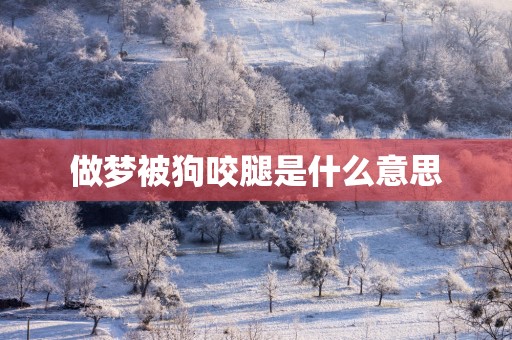 做梦被狗咬腿是什么意思