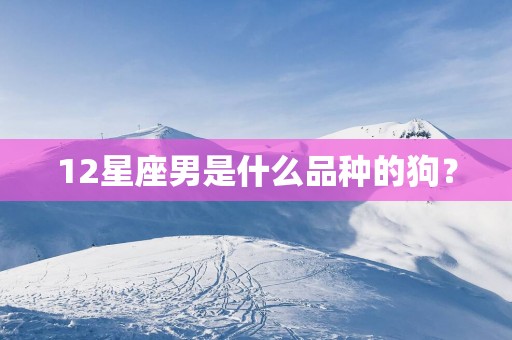 12星座男是什么品种的狗？