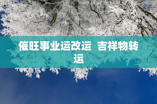 催旺事业运改运  吉祥物转运