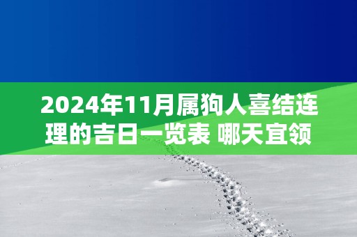 2025年11月属狗人喜结连理的吉日一览表 哪天宜领证