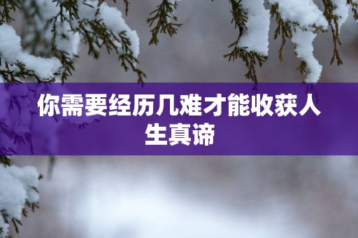 你需要经历几难才能收获人生真谛