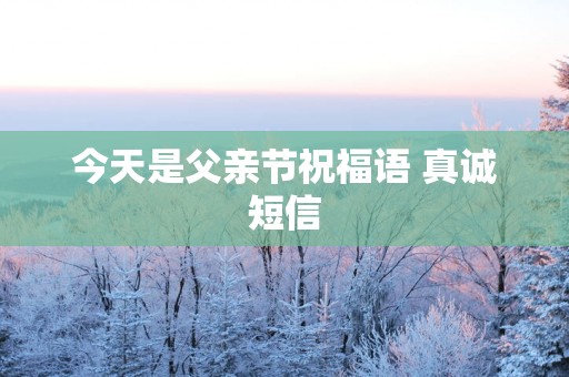 今天是父亲节祝福语 真诚短信