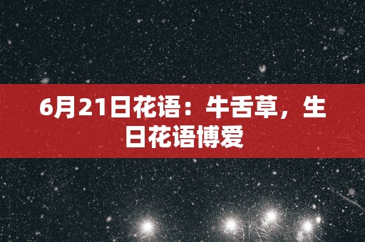 6月21日花语：牛舌草，生日花语博爱