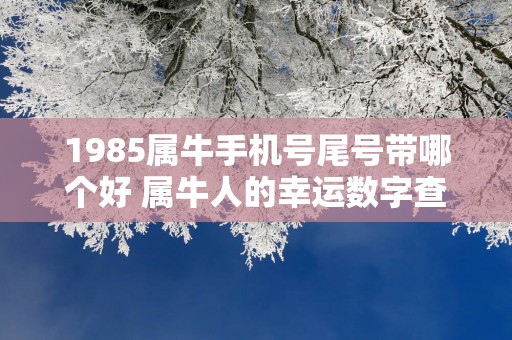 1985属牛手机号尾号带哪个好 属牛人的幸运数字查询