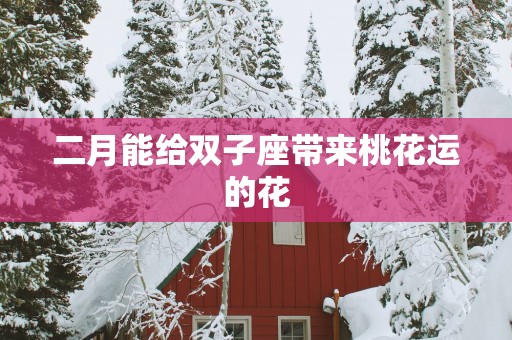 二月能给双子座带来桃花运的花